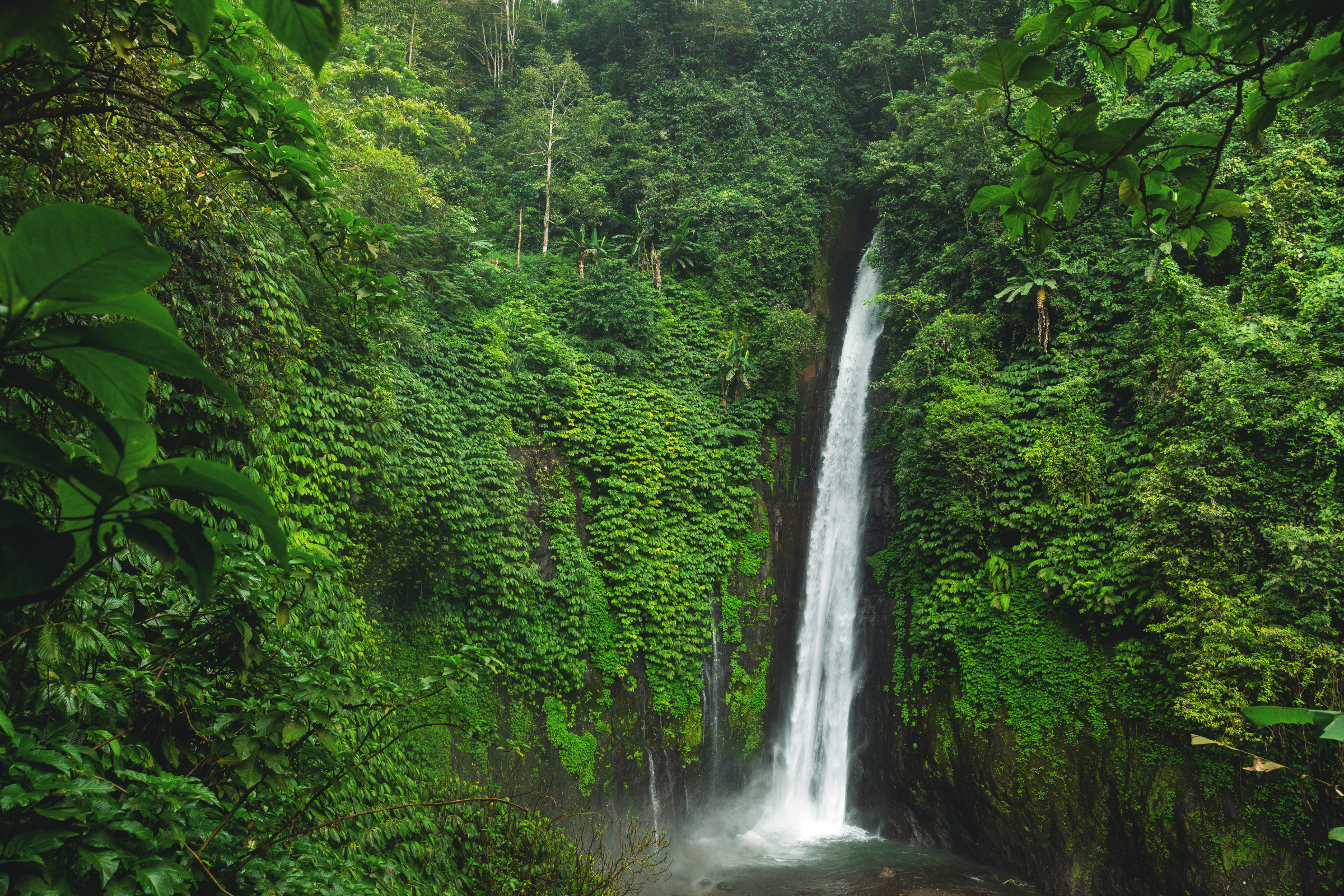 Air_Terjun_Kiti[1].webp